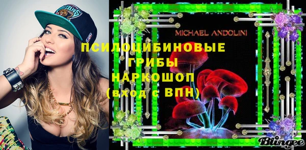 не бодяженный Лабытнанги