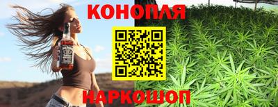 прущие грибы Краснодар