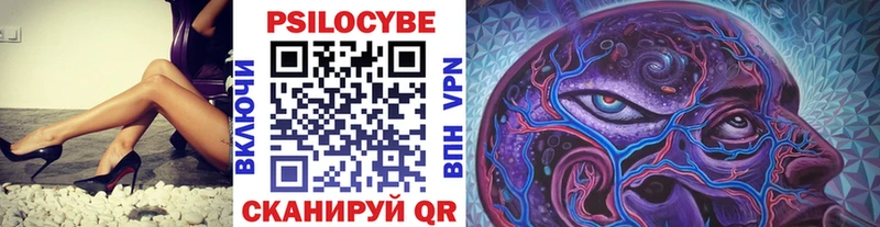 KRAKEN зеркало  Шали  Псилоцибиновые грибы ЛСД 