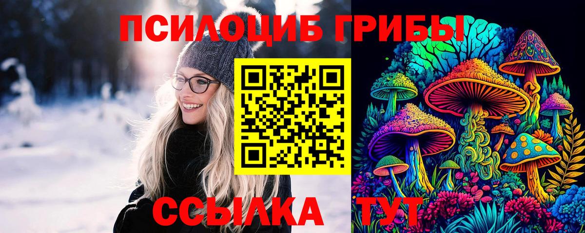 Псилоцибиновые грибы мухоморы Шали
