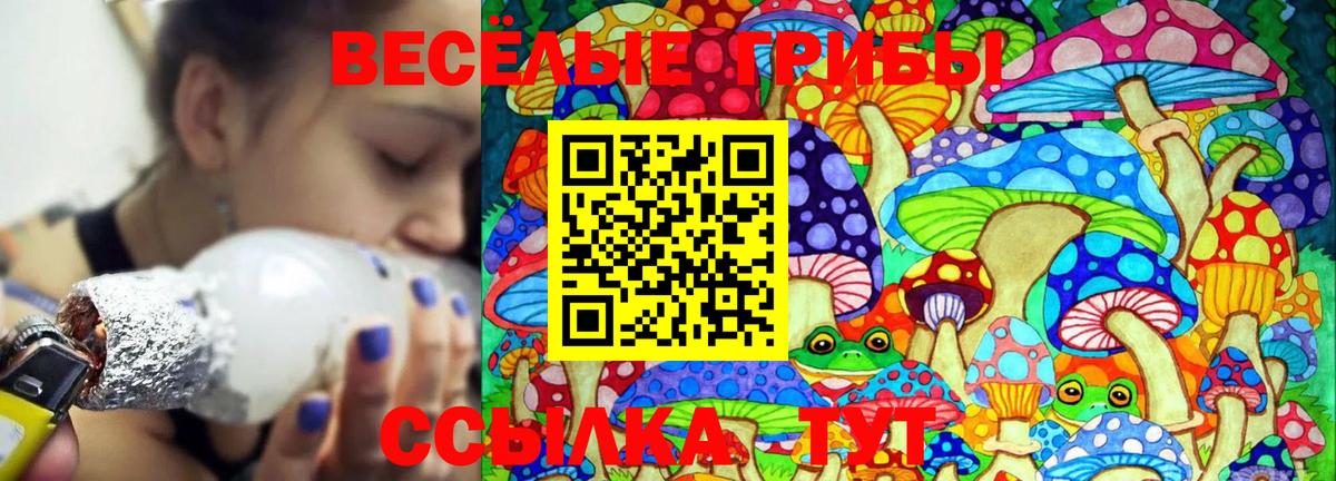 где продают наркотики  Галлюциногенные грибы Magic Shrooms  Вход с VPN  Галлюциногенные грибы мицелий  Шали 