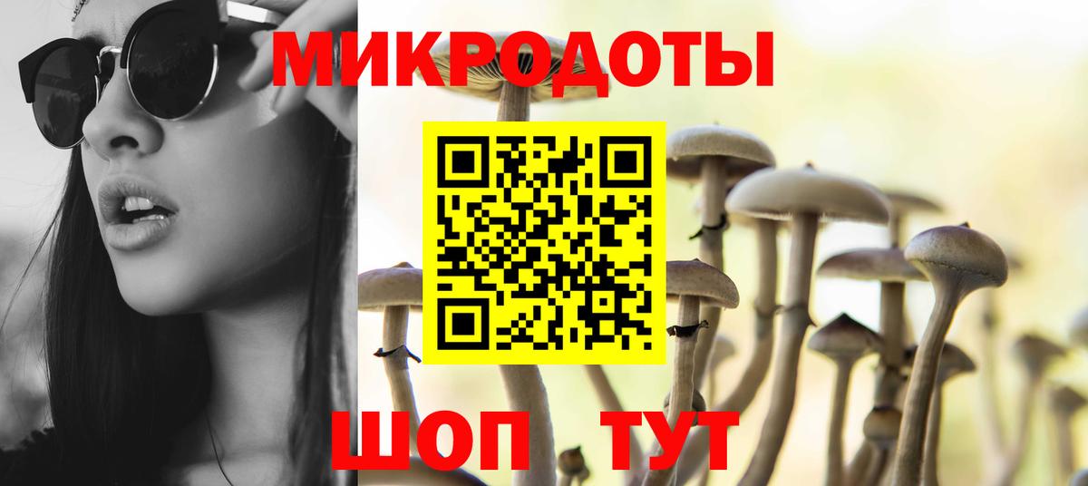 продажа наркотиков  Шали  Галлюциногенные грибы GOLDEN TEACHER  Псилоцибиновые грибы мухоморы 